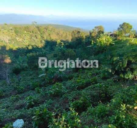 Sell Land Munduk Beautiful Beach View