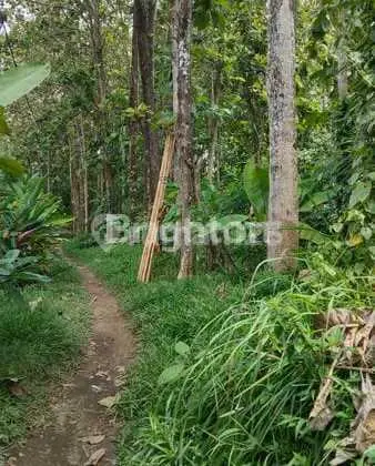 Tanah Zona Kuning Lingkungan Villa Premium Lokasi Pejeng Gianyar