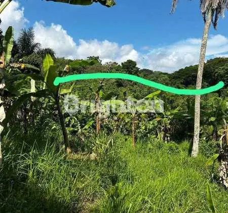 Exclusive Land Suitable for Villa with View of Eternal Forest and River in Ubud