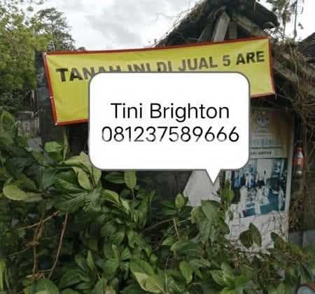 Tanah Komersial Premium Lokasi Canggu