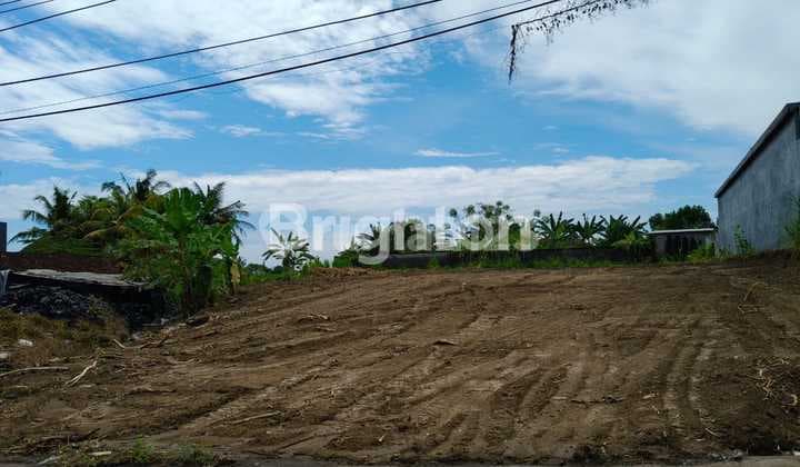 Di Jual Tanah Luas Lokasi Jalan Raya Angantaka Badung