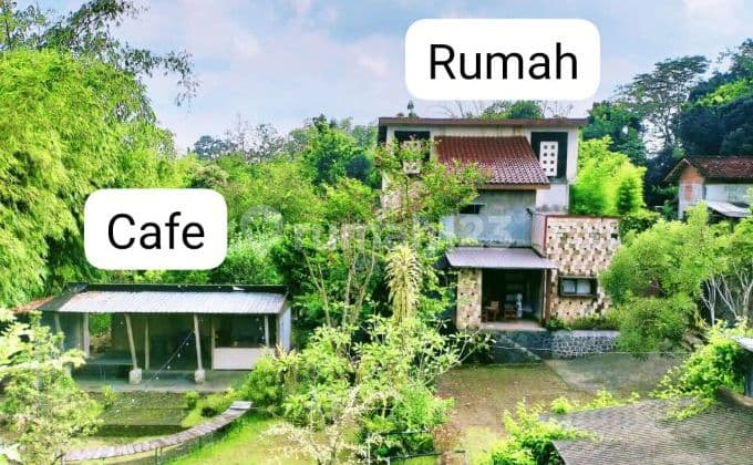 Tanah Bonus Bangunan Dijual Ngaglik Tanah Luas Dekat Kampus Uii Sekolah Al Azhar Kuliner Pertokoan Nyaman Asri
