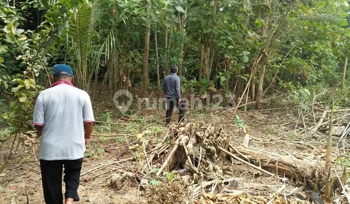 Tanah Pekarangan Dekat Pondok Dan Kantor Kelurahan Bagus di Kavling