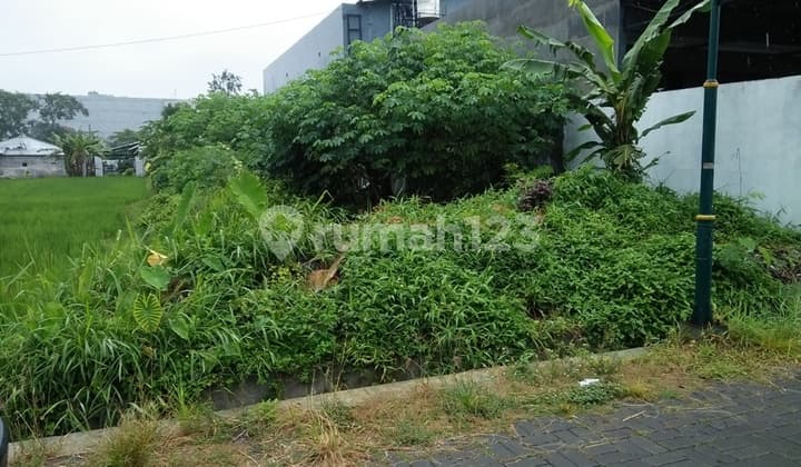Tanah Dekat Kampus Dan Ringroad Utara Bagus Untuk Kost Nyaman