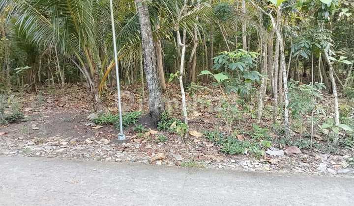 Tanah Pekarangan Dijual Gilangharjo Pandak Bantul Dekat Kota Sekolahan Pondok Perumahan