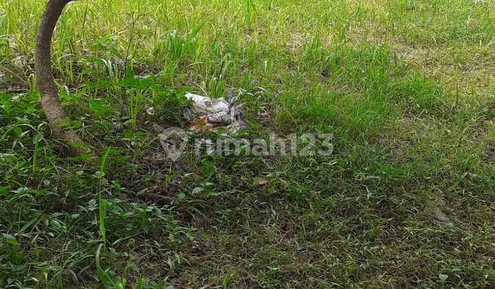 Kavling 316 m2 di pinggir jalan besar di Kencana Loka BSD