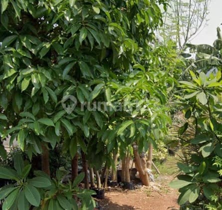 TERMURAH TANAH KAVLING DKI MERUYA SELATAN KEMBANGAN JAKARTA BARAT LT287 HGB Hanya 7,3juta/meter