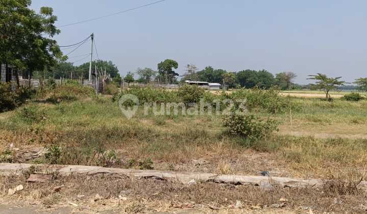 JUAL TANAH KAVLING REJOSO PASURUAN STRATEGIS DEKAT GATE TOL KEJAYAN JUAL TANAH KAVLING REJOSO PASURUAN STRATEGIS DEKAT GATE TOL KEJAYAN