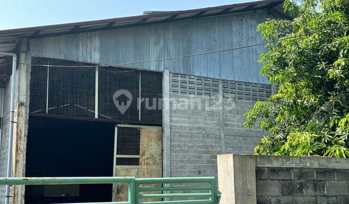 JUAL GUDANG SIAP PAKAI GEMPOL PASURUAN DEKAT TOL GEMPOL