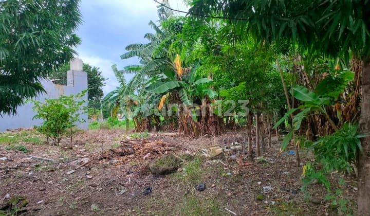 JUAL TANAH STRATEGIS JAWA GKB GRESIK SELANGKAH UNIV & FASUM