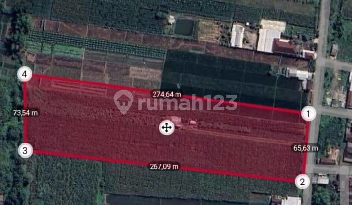 Dijual Tanah Jetis Mojokerto 1,8ha