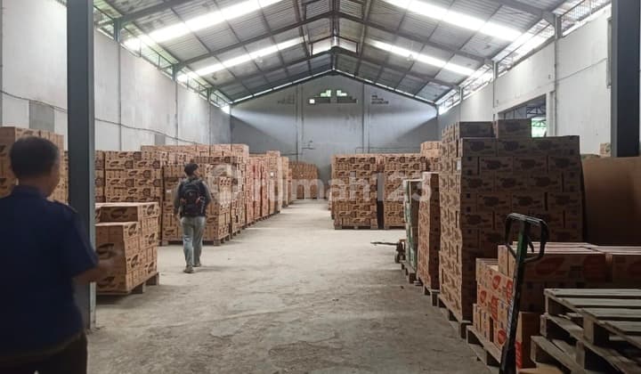 Disewakan Gudang Luas 1700m² Di Sumur Bor Cengkareng (akses Contener Hanya 20 Feet)