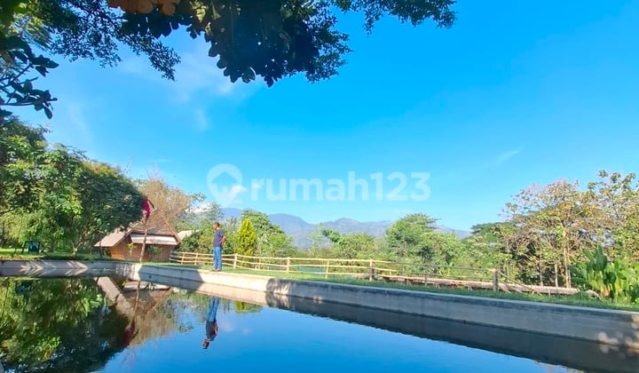 For Sale Super Spacious Villa 4400m², Hidden Gem Bandung Near Soreang Toll Gate