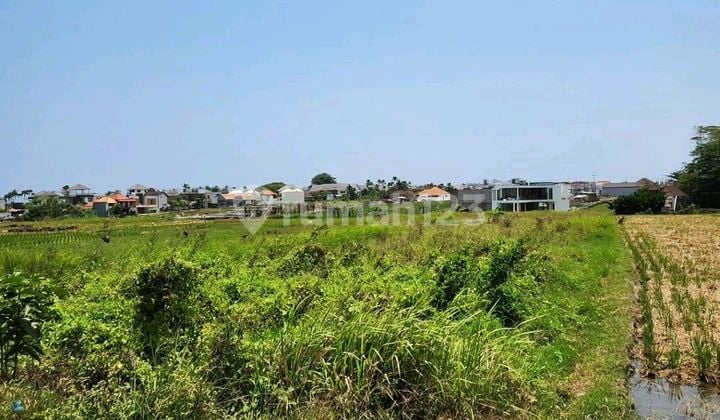 Leasehold Land Pantai Mengenging Cemagi Near the Beach