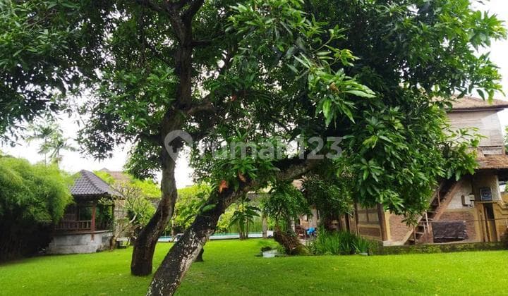 Villa di Jln plawa seminyak