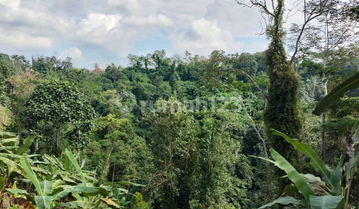 Tanah di jual di Jalan samplangan gianyar