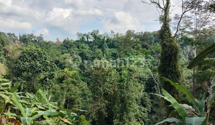 Land for sale in Jalan samplangan Gianyar