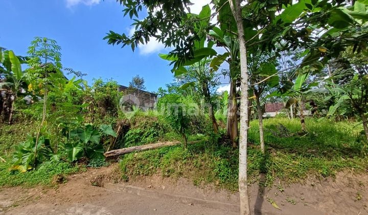 Tanah murah zona kuning pejeng kawan cocok untuk villa