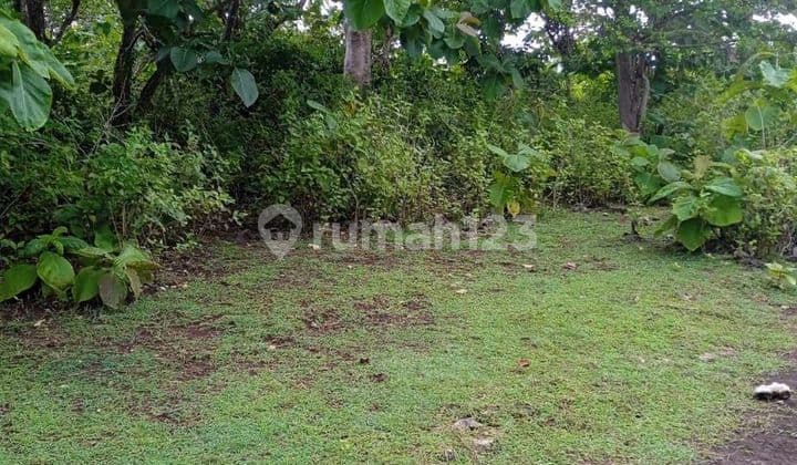 Tanah datar bagus murah di kelas nya cocok untuk resort dan hotel