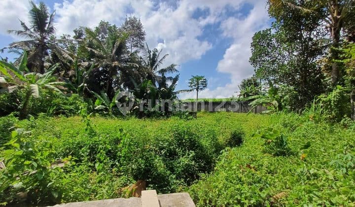 Tanah Bagus Cocok Untuk Villa Dan Rumah Tinggal Dekat Ke Pusat Ubud