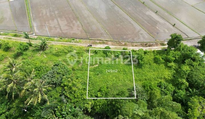 Tanah Bagus Dekat Pantai Kedungu Tabanan Sangat Cocok di Bangun Villa