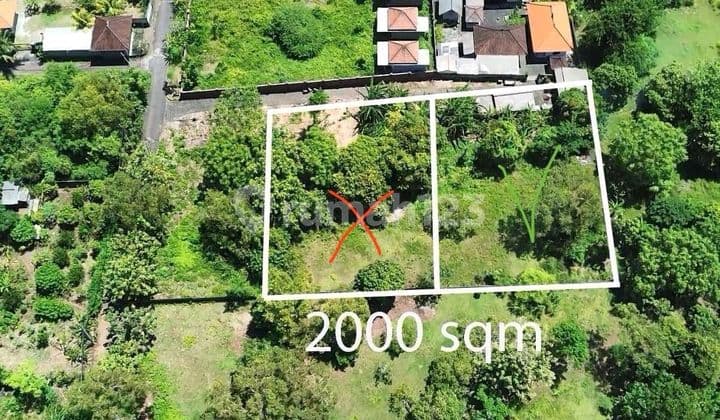 Good Leasehold Land for Rent Near Nyang Nyang Beach Uluwatu