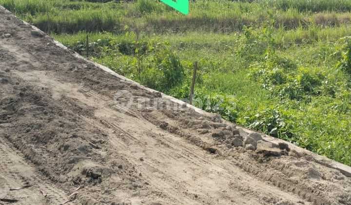 Di Jual Tanah Tumbak Bayuh View Sawah Sangat Cocok untuk Villa dan Buat Kavling