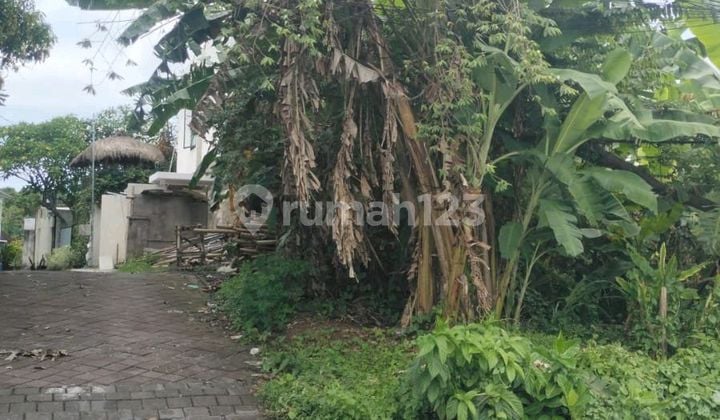 Good Land on Main Road Suitable for Business and Villa