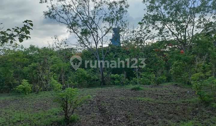 Di Kontrak Tanah Bagus View Laut & Gek Sangat Cocok di Bangun Resort & Villa