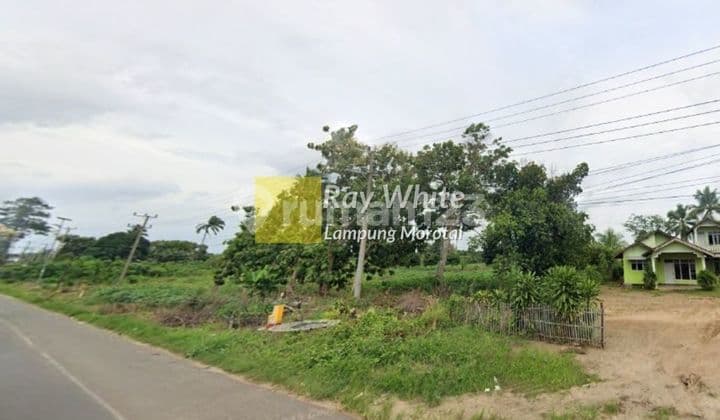 Dijual Tanah Terbanggi Besar Lampung Tengah