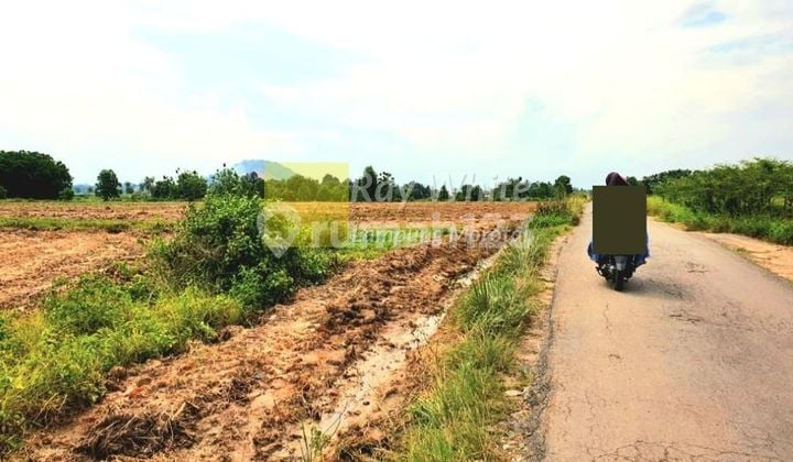 Land of Labuhan Ratu, Bandarlampung