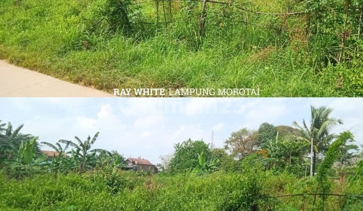 Dijual Tanah Natar Lampung Selatan