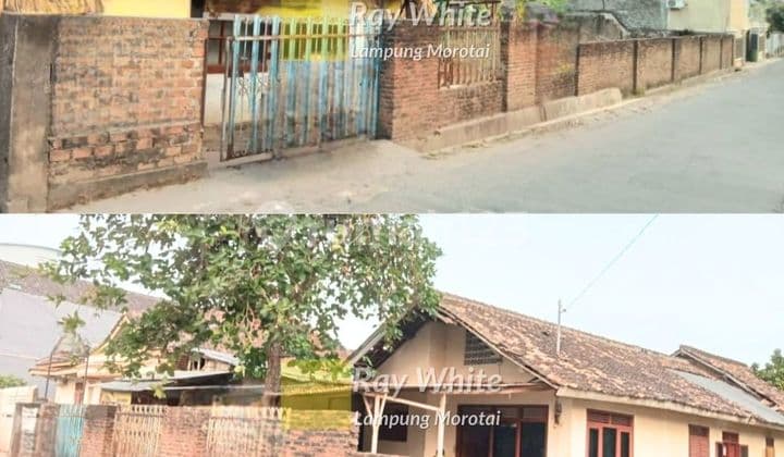 Dijual Tanah Bonus Bangunan Rajabasa Bandar Lampung