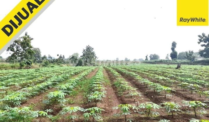 Tanah Bumi Ratu Nuban Lampung Tengah