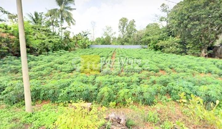 Murah Tanah Yukum Jaya Bandar Jaya
