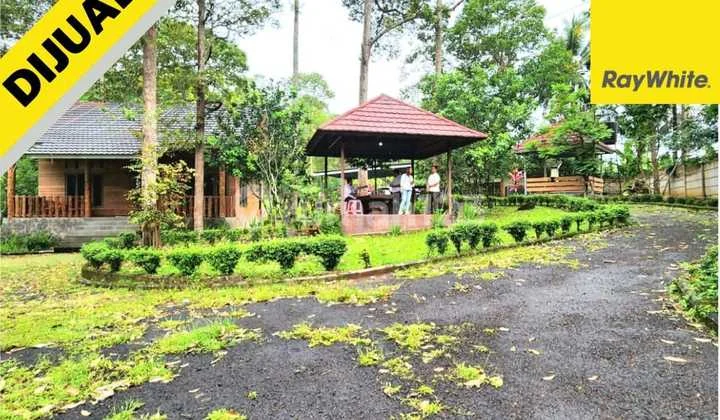 Jual Tanah Villa di Lampung Jual Tanah Villa di Lampung