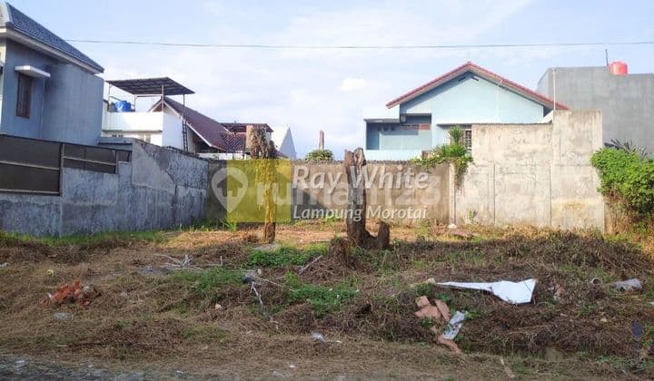 Land for Sale in Bumi Asri Housing (Kedamaian)