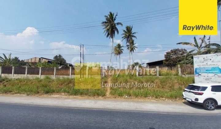 Jual Tanah Natar Hajimena Jual Tanah Natar Hajimena