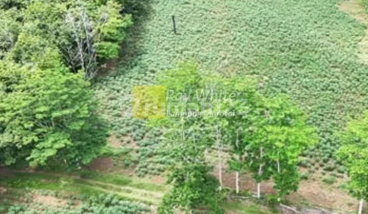 Dijual Tanah di Abung Selatan, Lampung Utara