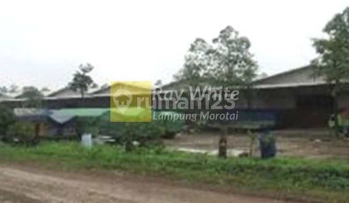 Dijual Tanah + Bangunan di Natar, Lampung