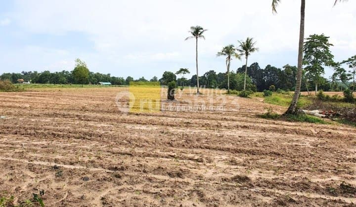Dijual Tanah di Natar, Lampung Selatan