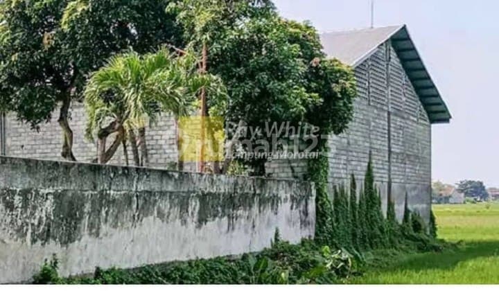 Dijual Gudang di Desa Gambiran, Mojoagung, Jombang, Jawa Timur