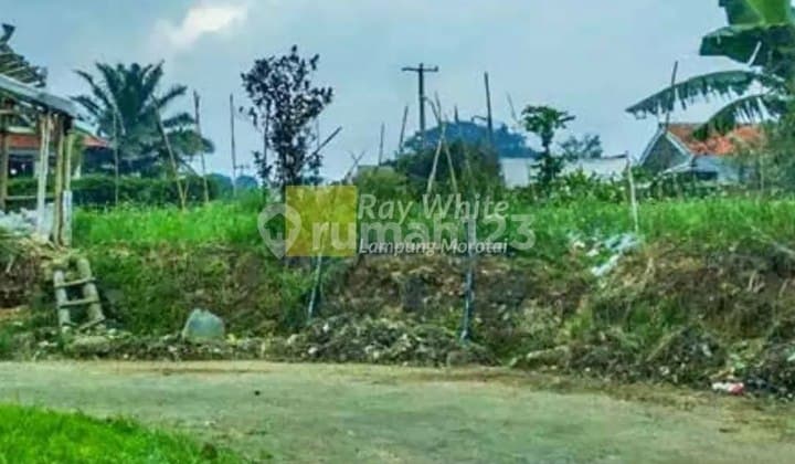 Dijual Tanah Berlokasi di Villa Lotus Garden, Cipanas, Cianjur, Jawa Barat.