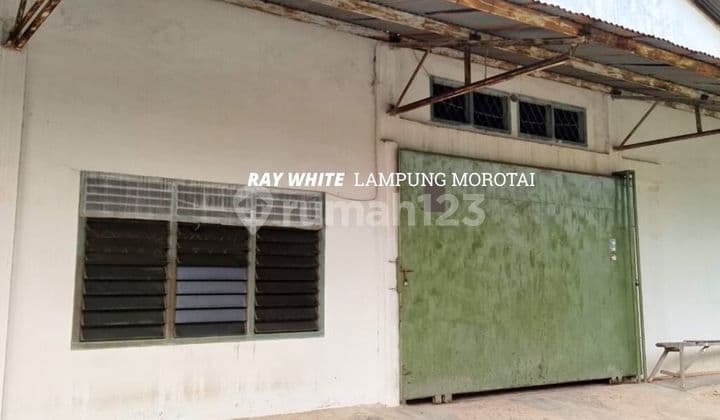 di sewakan area gudang dan rumah
