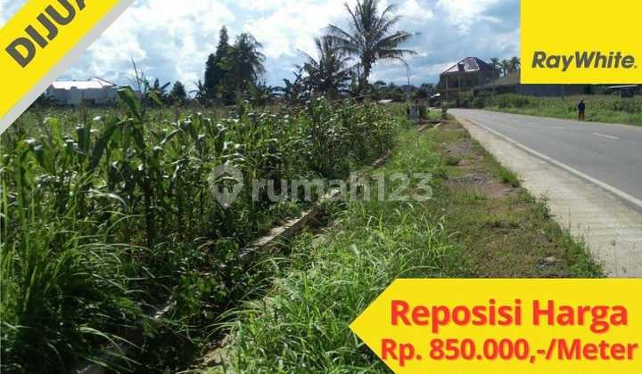 di jual tanah di area jalan utama rajabasa