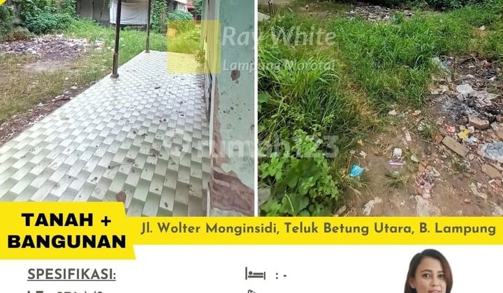 Wolter Mangonsidi land.