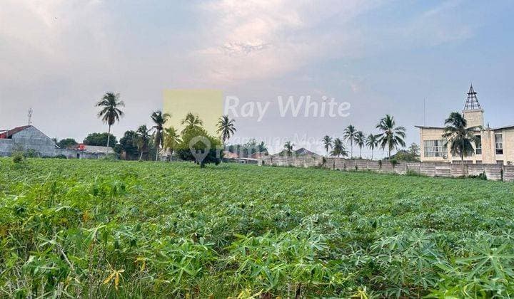 tanah luas di lampung tengah