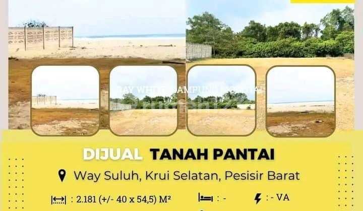 DIJUAL TANAH PANTAI DI WAY SULUH, KRUI SELATAN PESIBAR DIJUAL TANAH PANTAI DI WAY SULUH, KRUI SELATAN PESIBAR