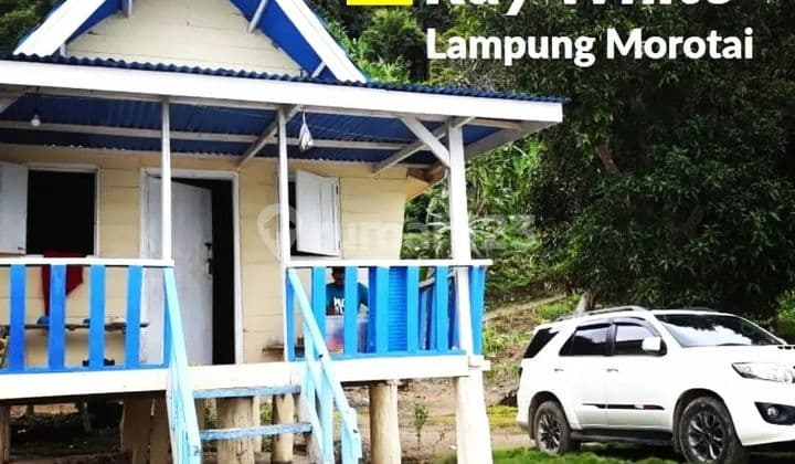 DIJUAL MURAH TANAH PANTAI DI DESA PAGAR JAYA PESAWARAN