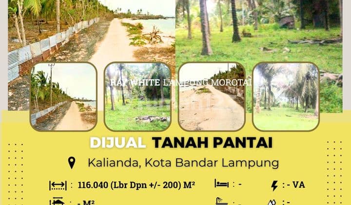 DIJUAL TANAH KEBUN KELAPA BERIKUT TANAH TEPI PANTAI NAN INDAH DI KALIANDA